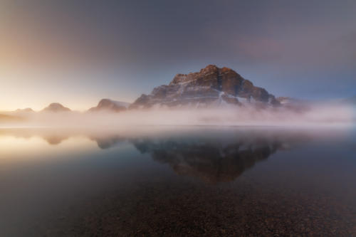 #44